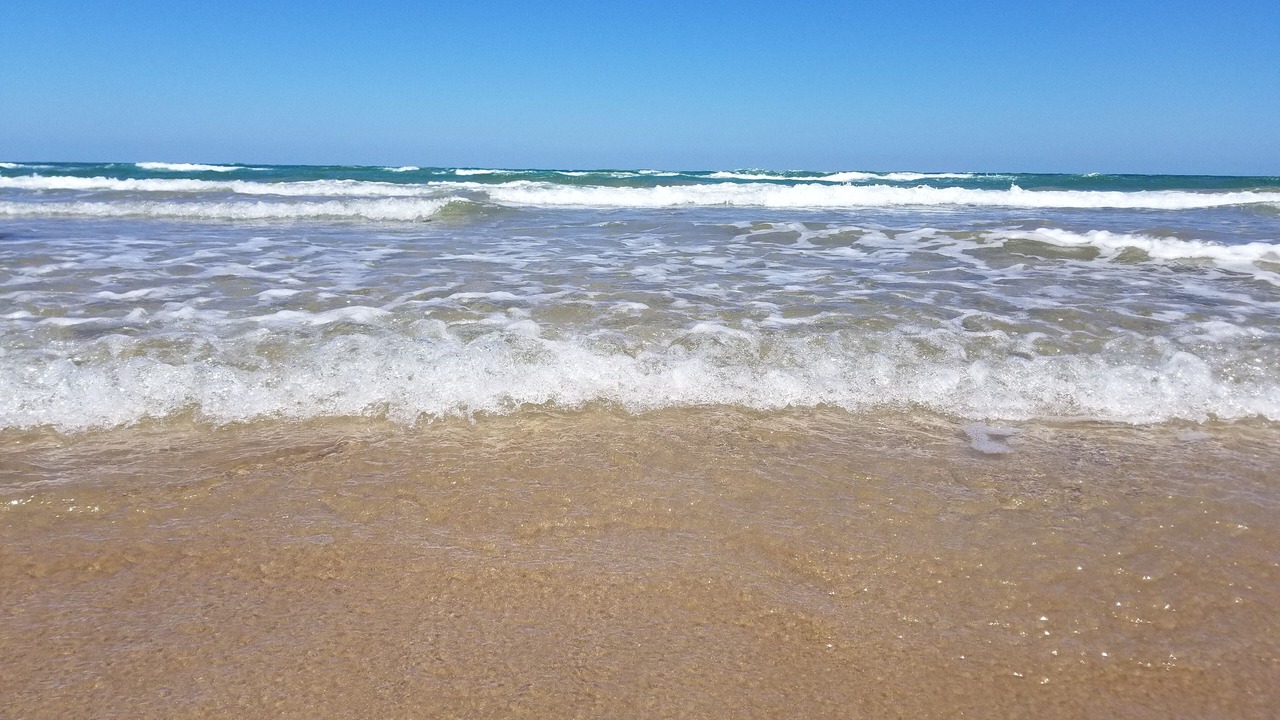 Photo of Others in South Padre Island