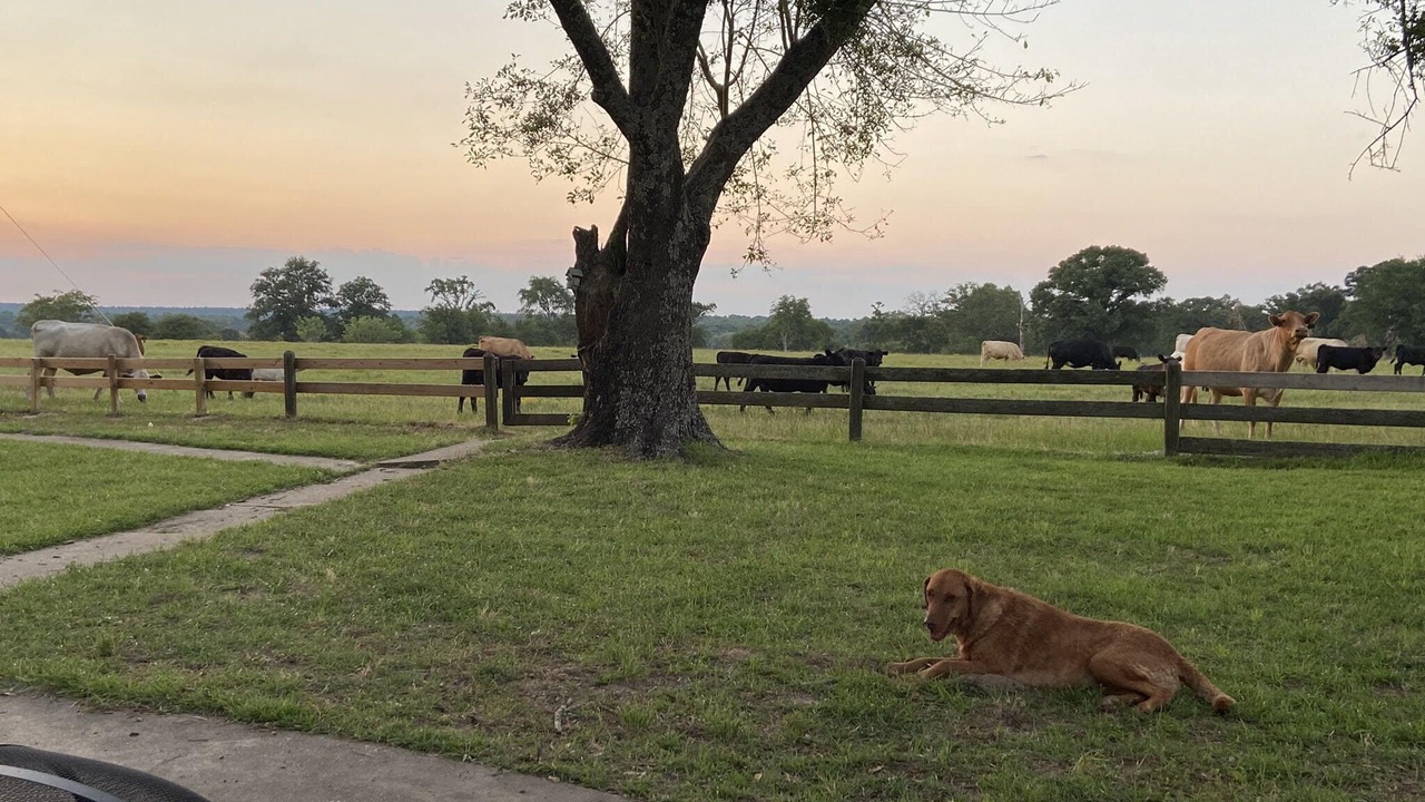 Photo of Outdoor in Montalba