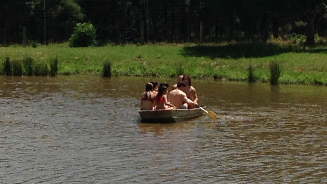 Photo of Others in Montalba
