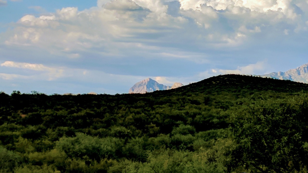 Photo of Others in Rio Rico