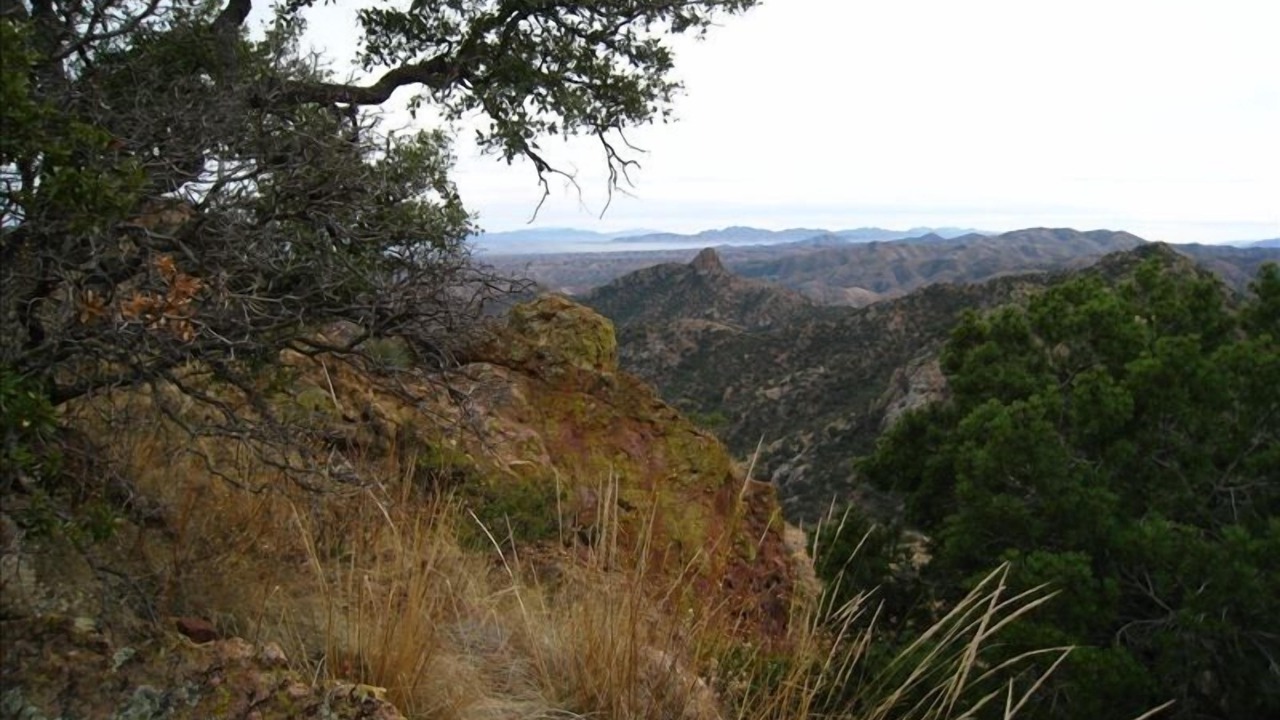 Photo of Others in Rio Rico
