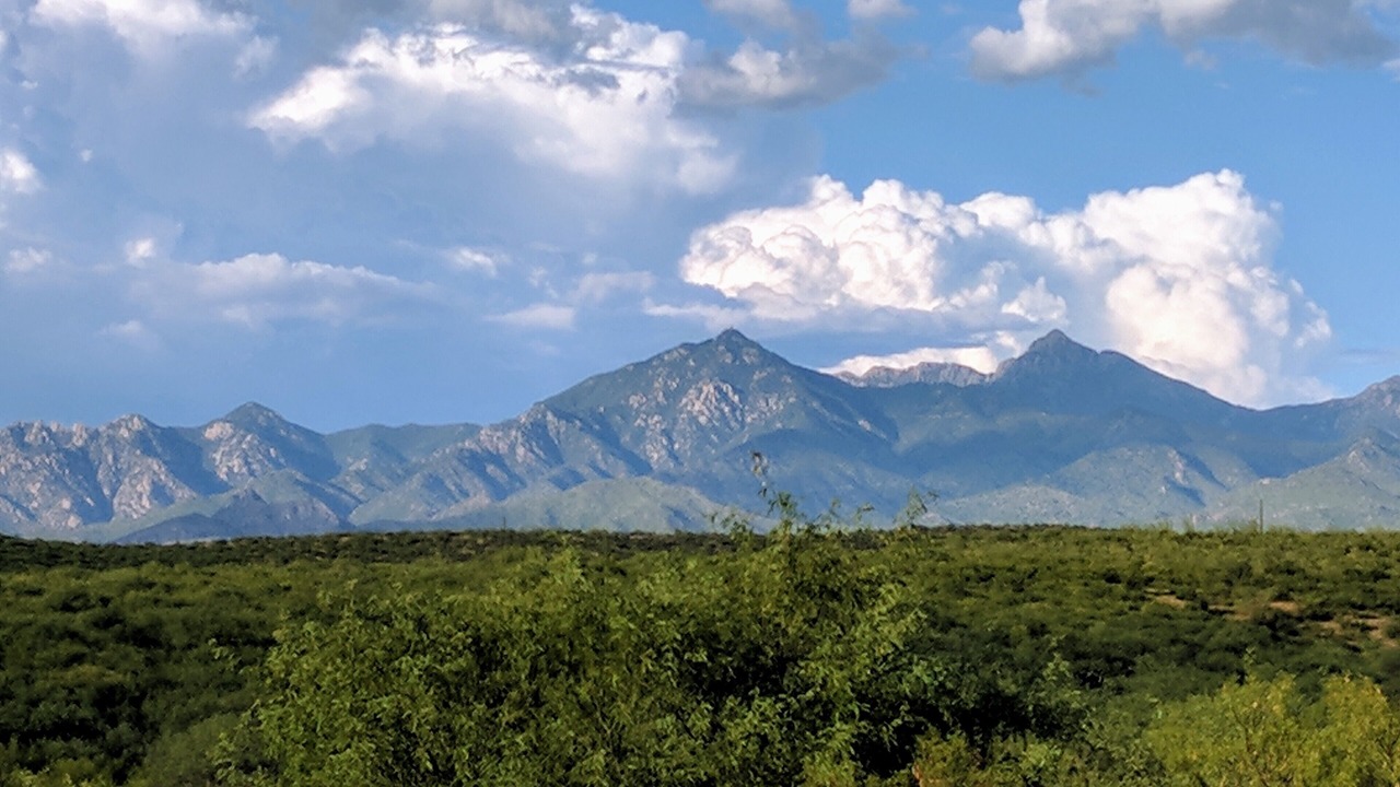 Photo of Others in Rio Rico