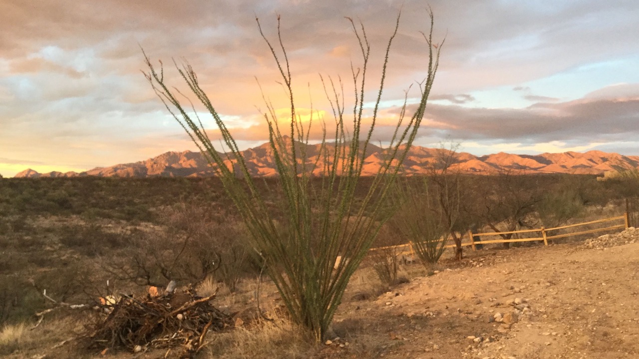 Photo of Others in Rio Rico Northeast
