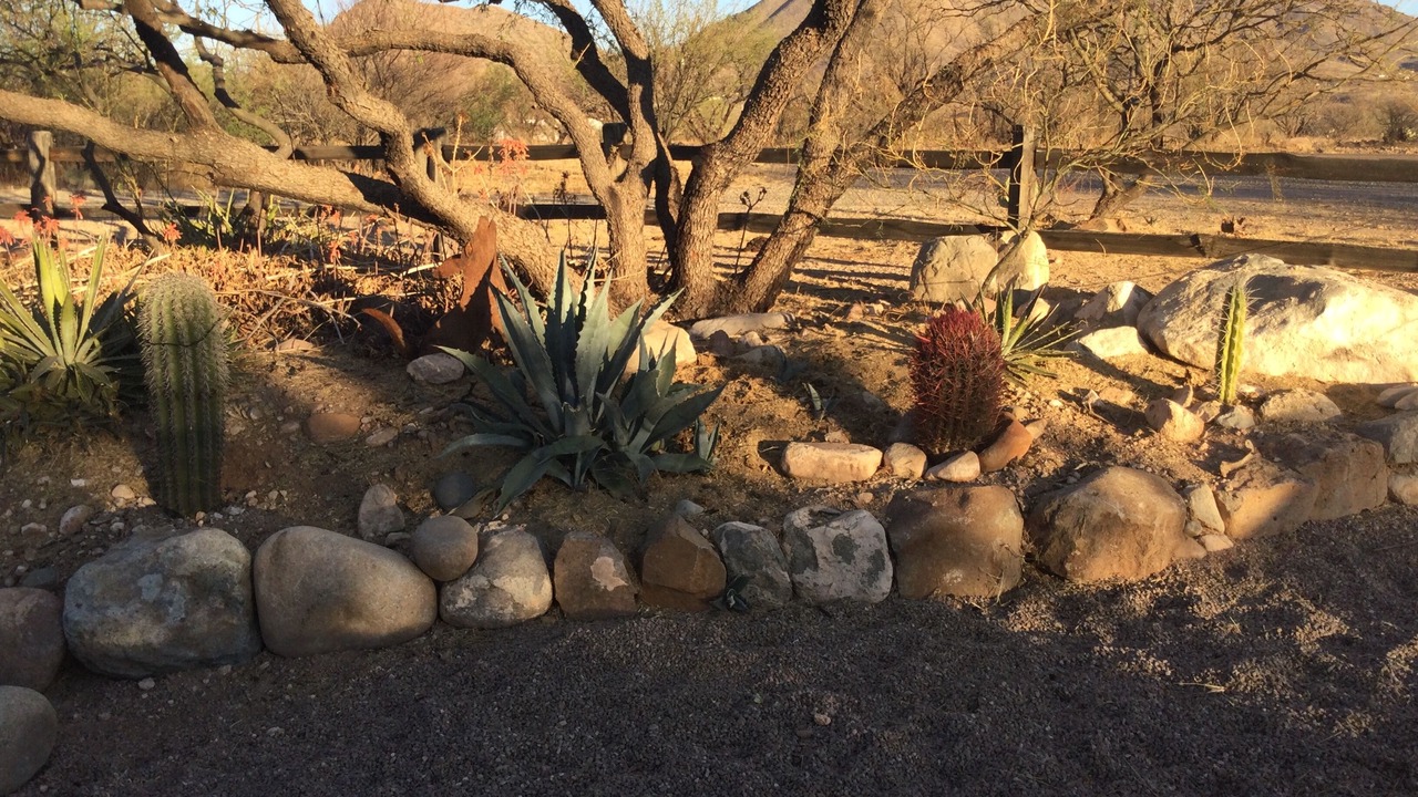 Photo of Others in Rio Rico Northeast