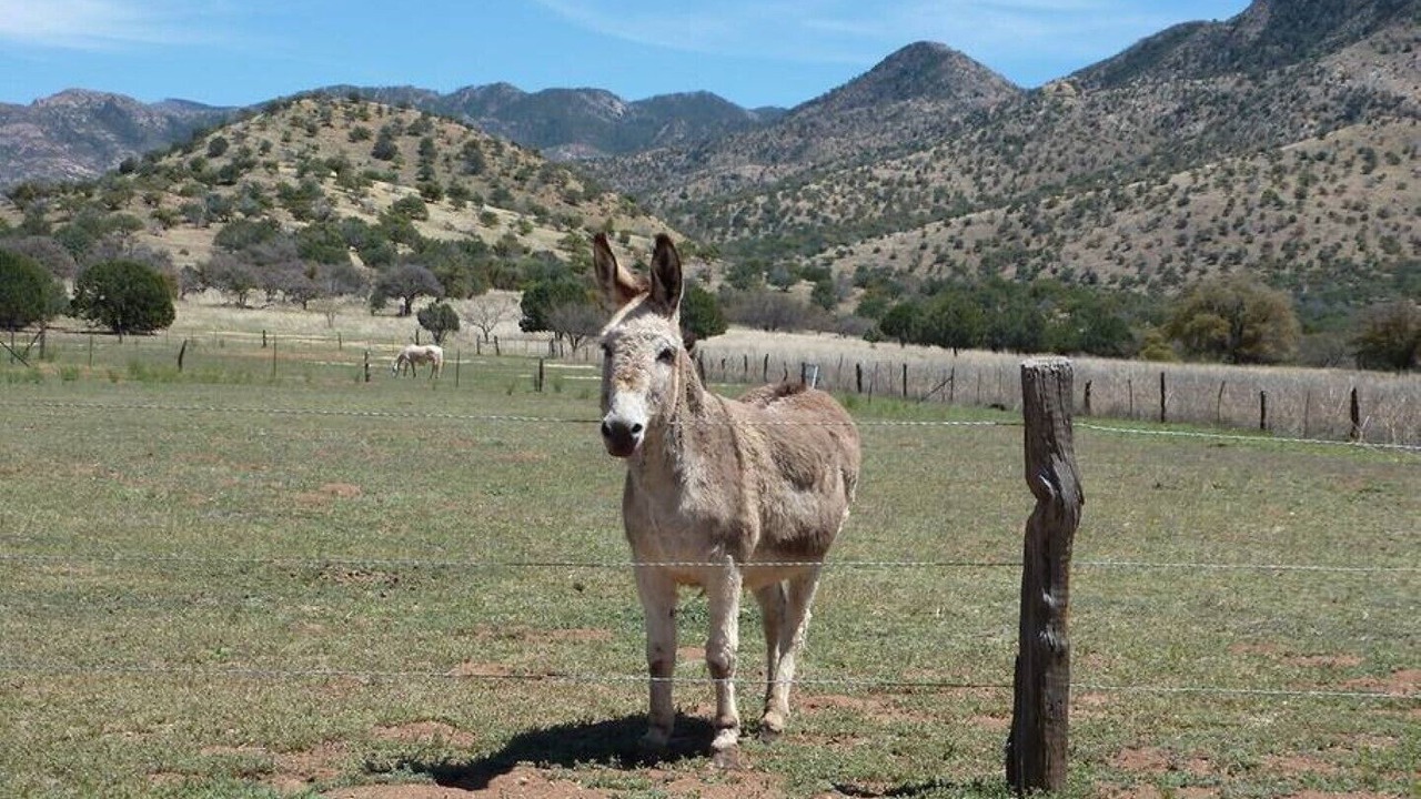 Photo of Outdoor in Pearce