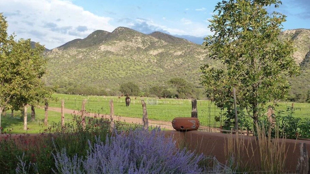 Photo of Outdoor in Pearce