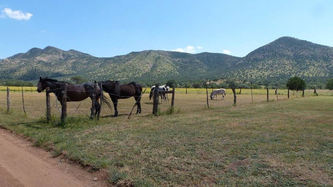 Photo of Outdoor in Pearce
