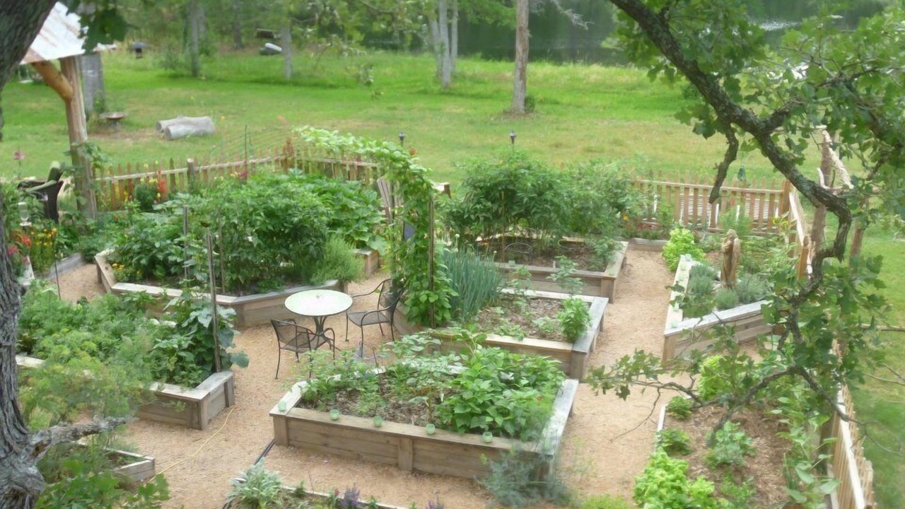 Photo of Outdoor in Grimes County