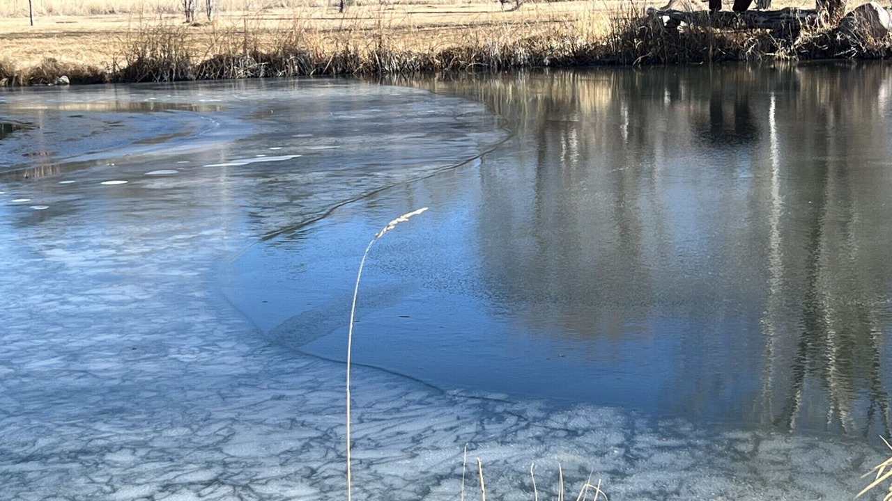 Photo of Others in Mancos