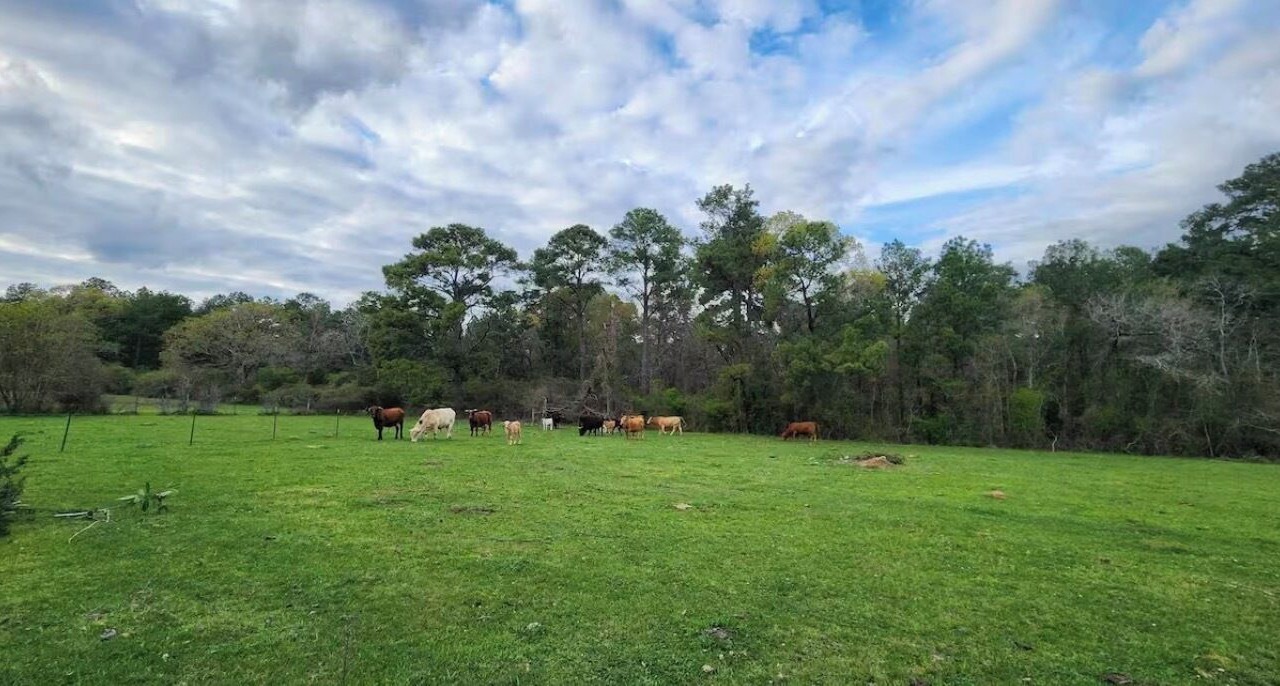 Photo of Others in Waller County