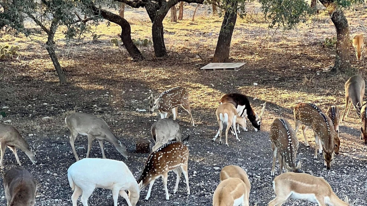 Photo of Others in Mountain Home