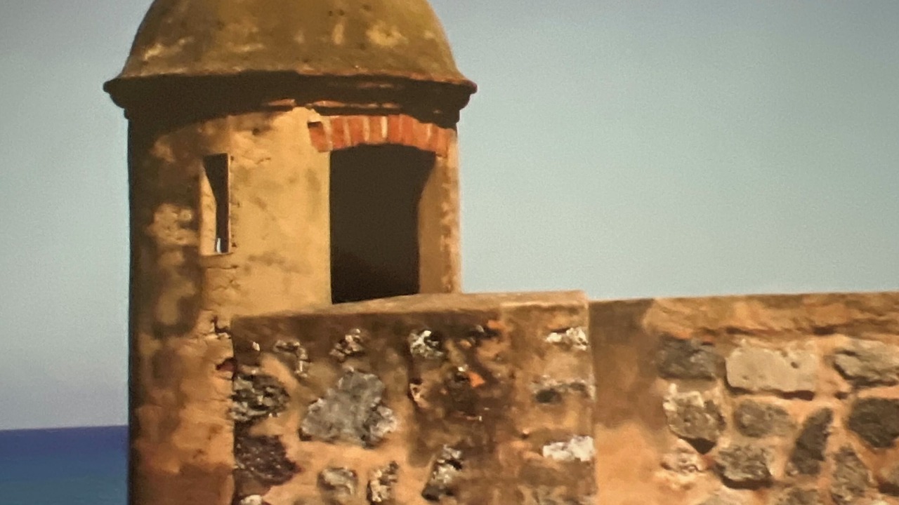 Photo of Others in Davis Spring Commercial