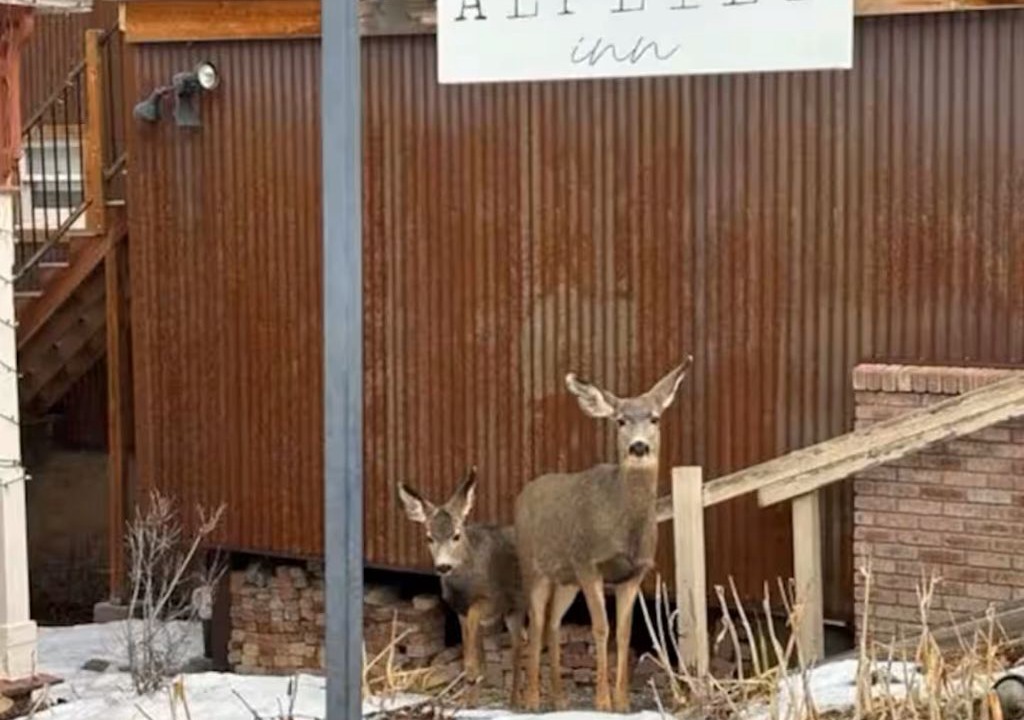 Photo of Outdoor in Ouray