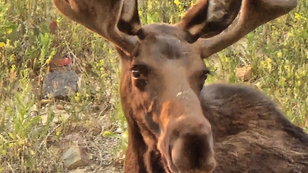 Photo of Others in Silverton