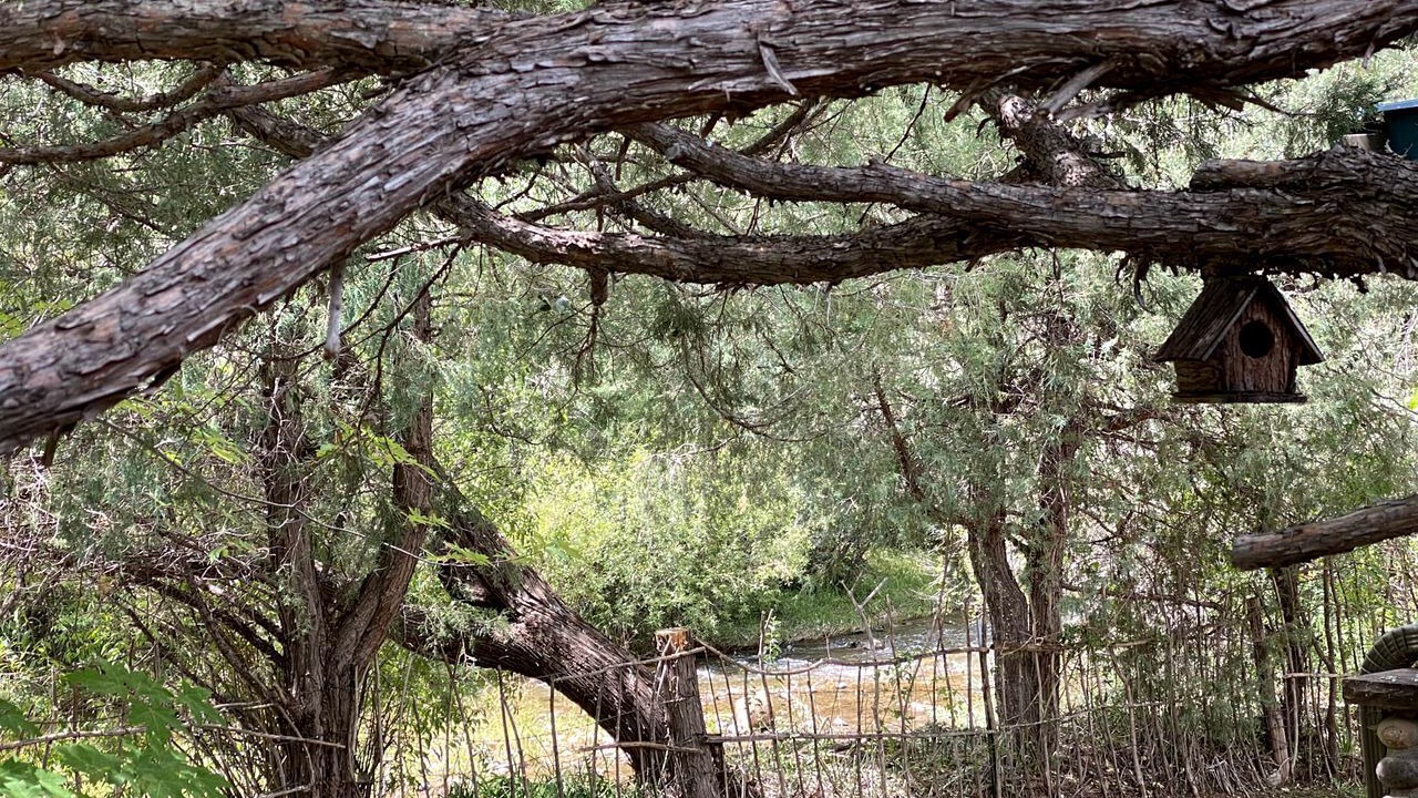 Photo of Outdoor in Pecos