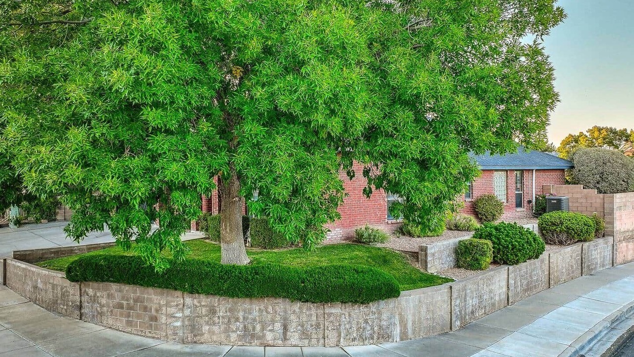 Photo of Outdoor in Alban Hills