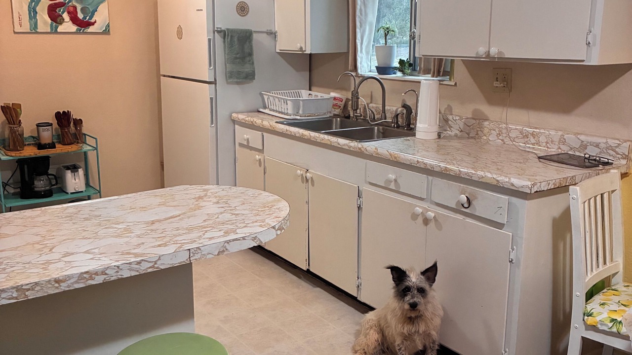 Photo of Kitchen in Tyrone
