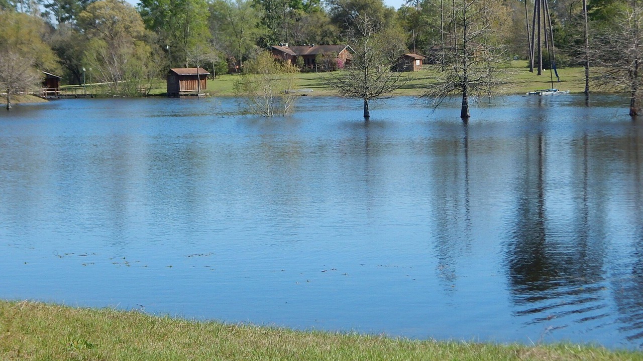 Photo of Others in Plantersville
