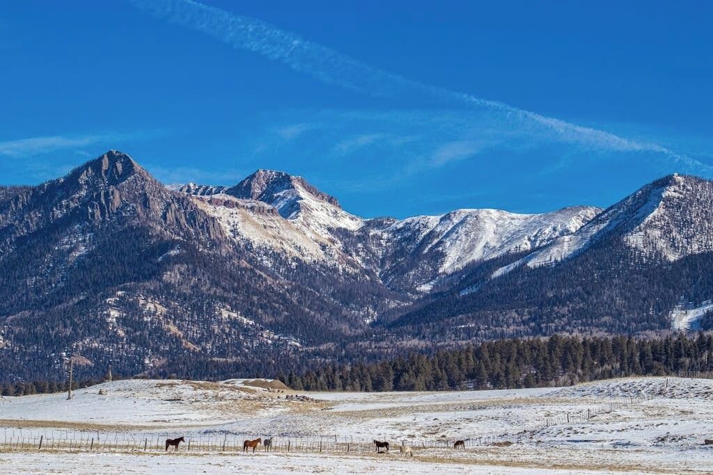 Photo of Others in Pagosa Springs