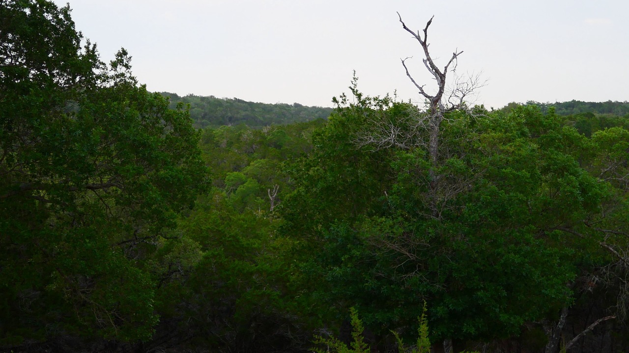 Photo of Others in Dripping Springs