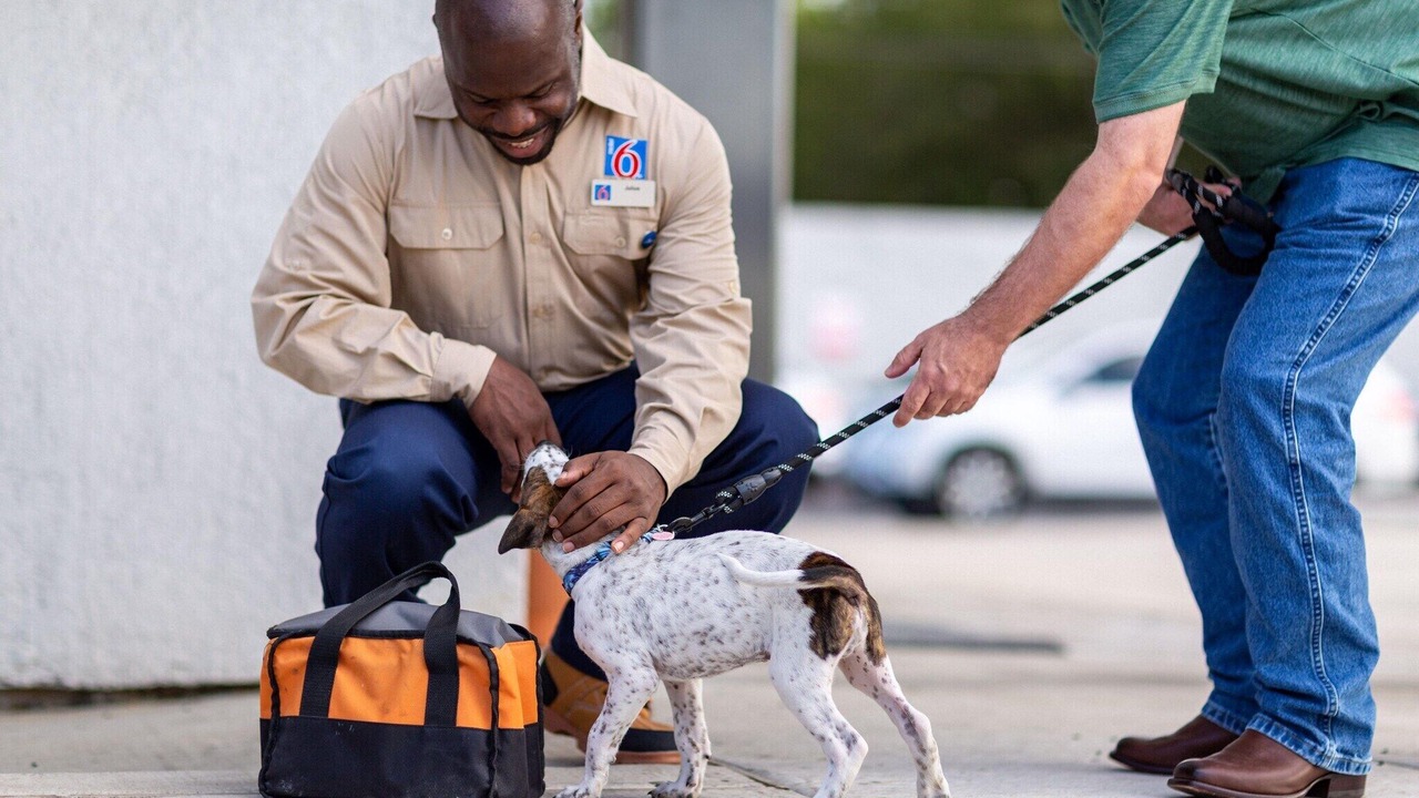 Photo of Others in Dallas