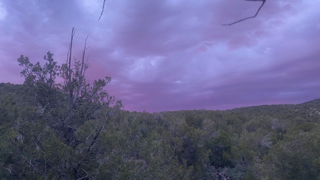Photo of Others in Sandia Park