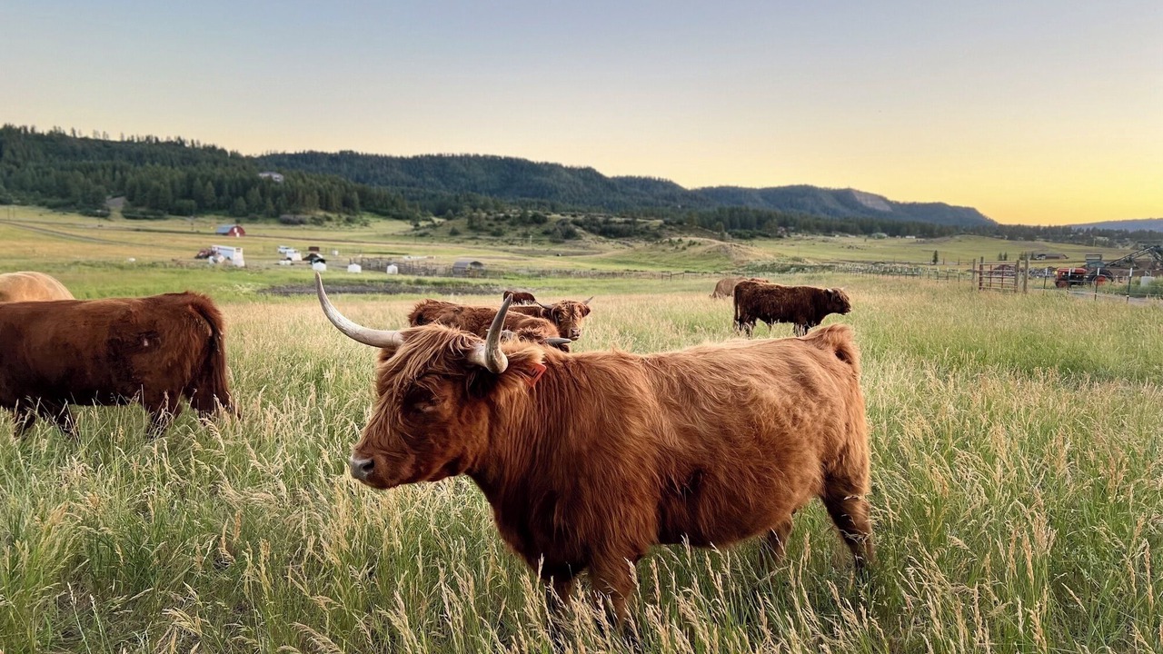 Photo of Others in Pagosa Springs