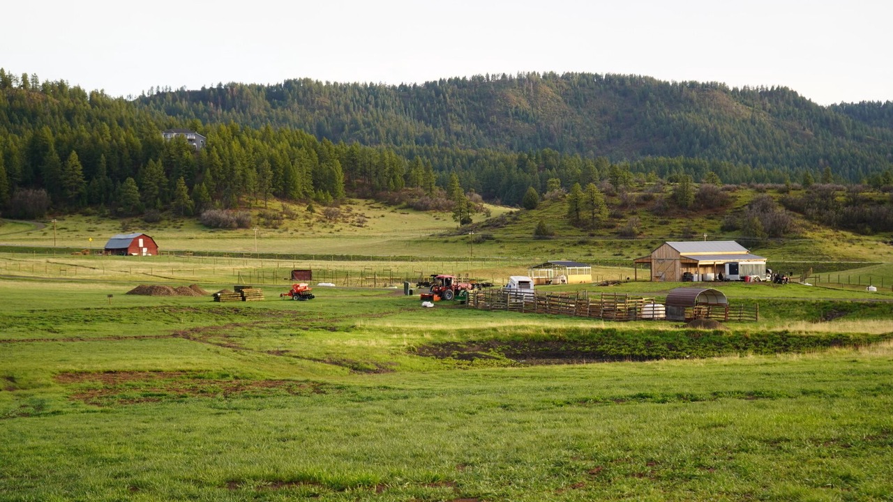 Photo of Others in Pagosa Springs