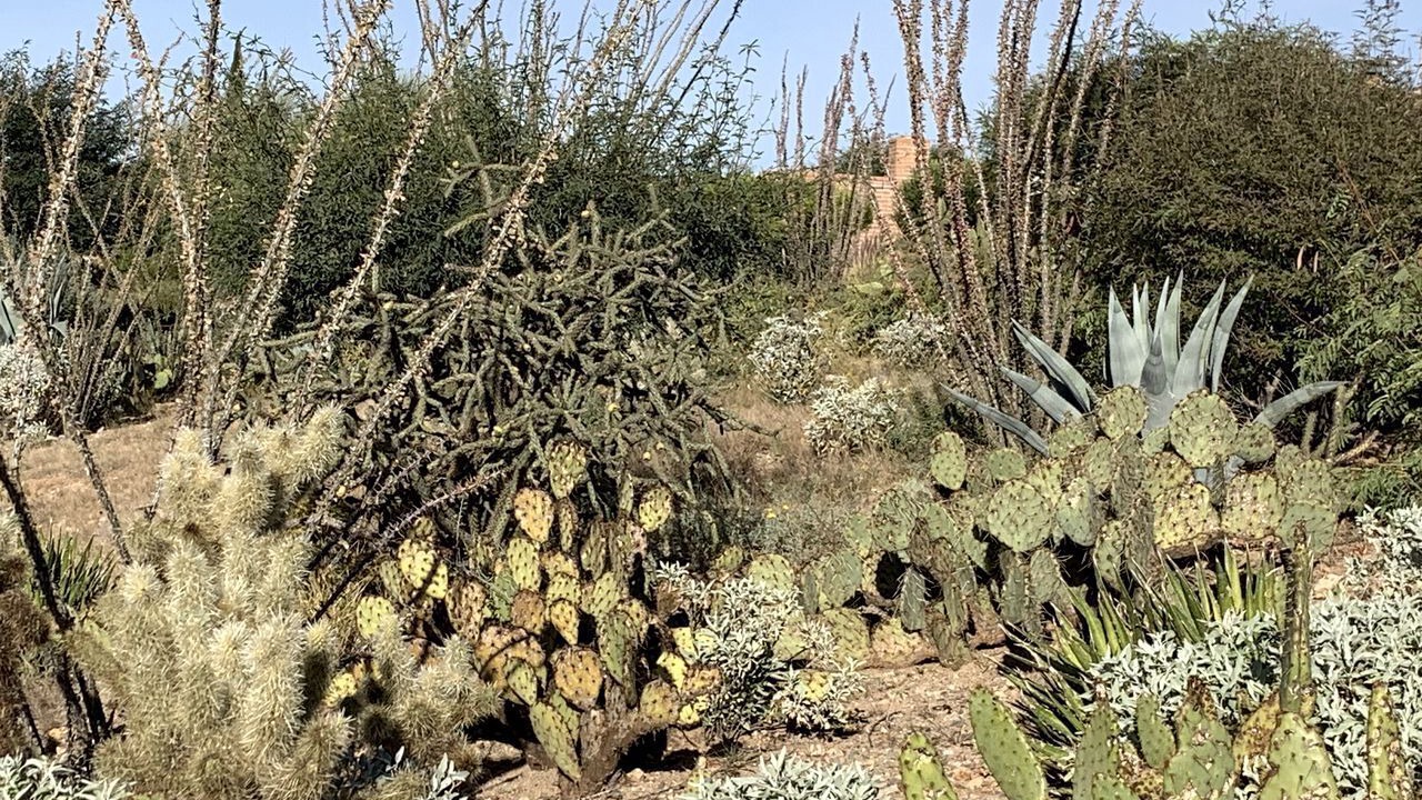 Photo of Outdoor in Canoa Estates
