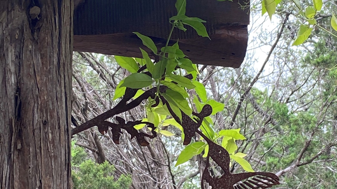 Photo of Outdoor in Fredericksburg