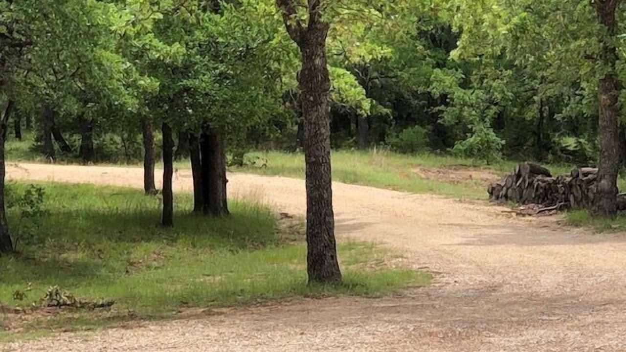 Photo of Others in Hico
