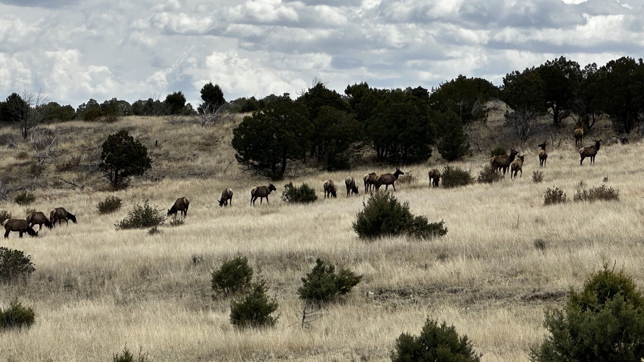 Photo of Outdoor in Ruidoso