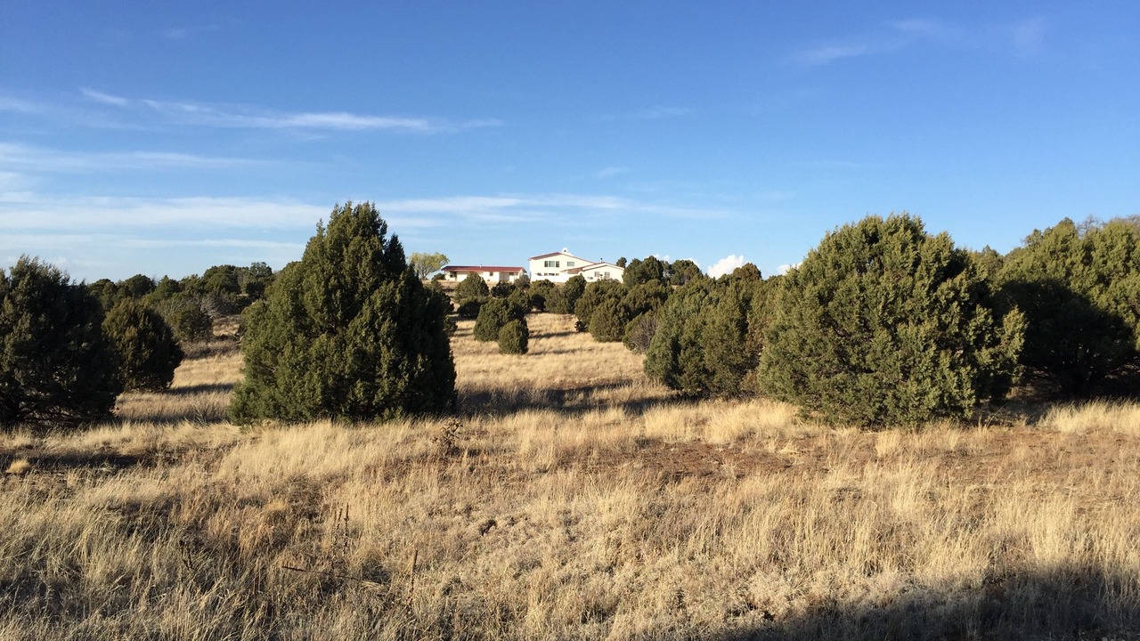 Photo of Others in Ruidoso