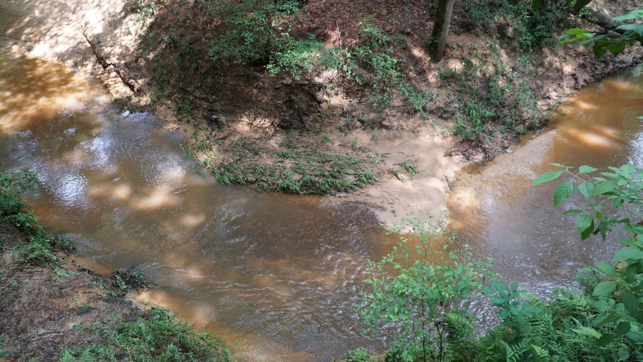 Photo of Others in Nacogdoches