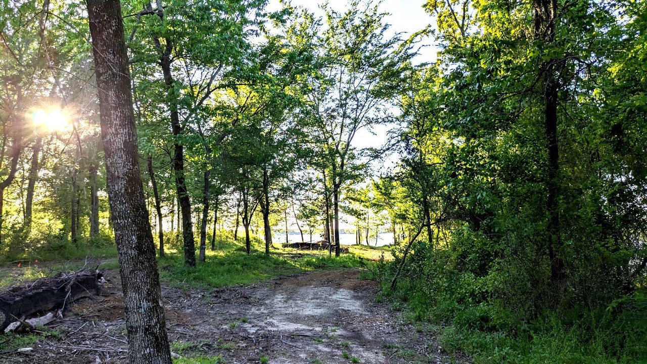 Photo of Outdoor in Quitman