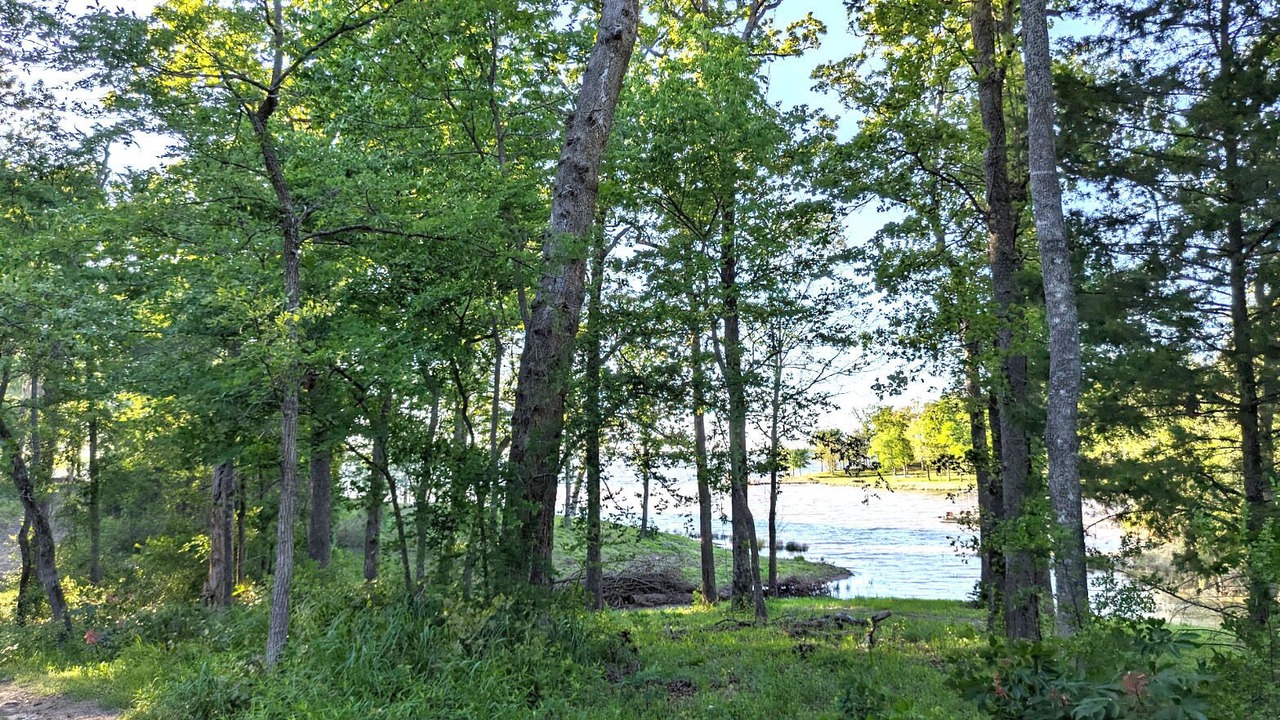 Photo of Outdoor in Quitman