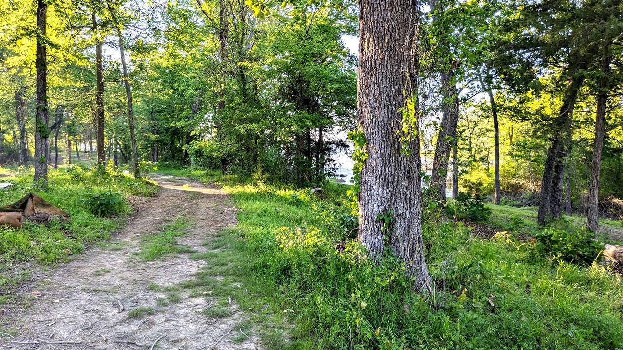 Photo of Outdoor in Quitman