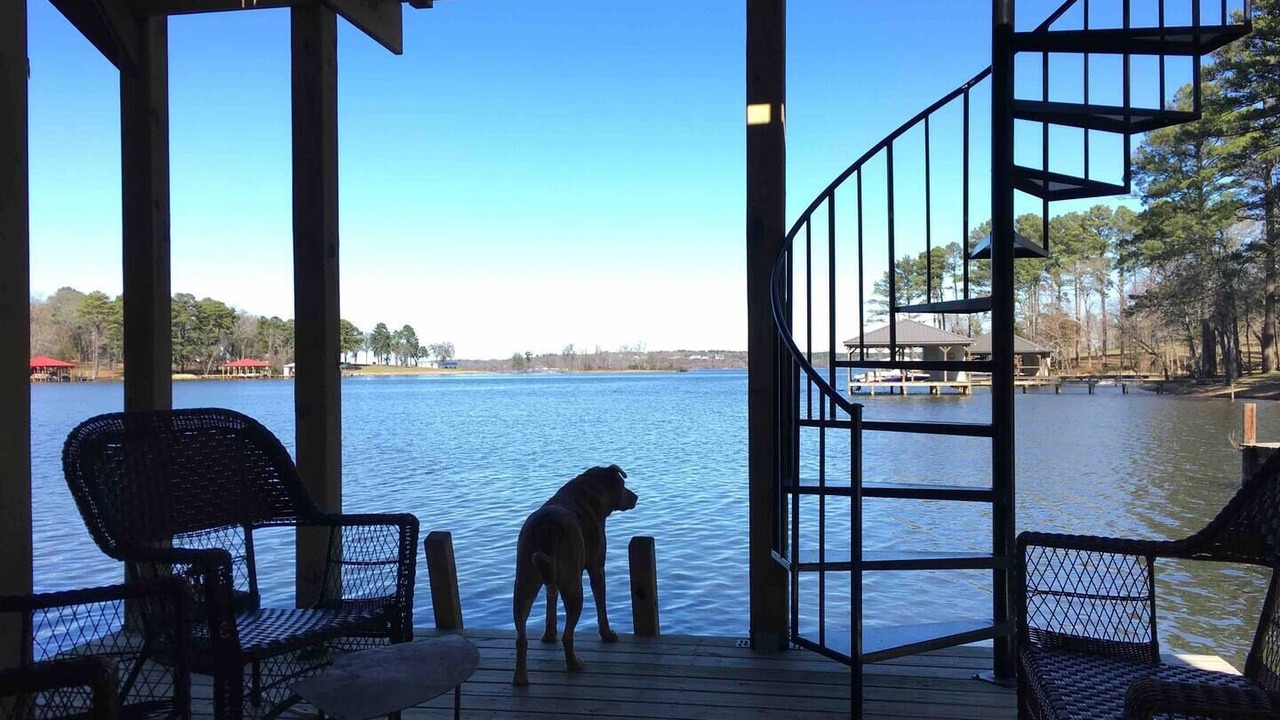 Photo of Outdoor in Berryville