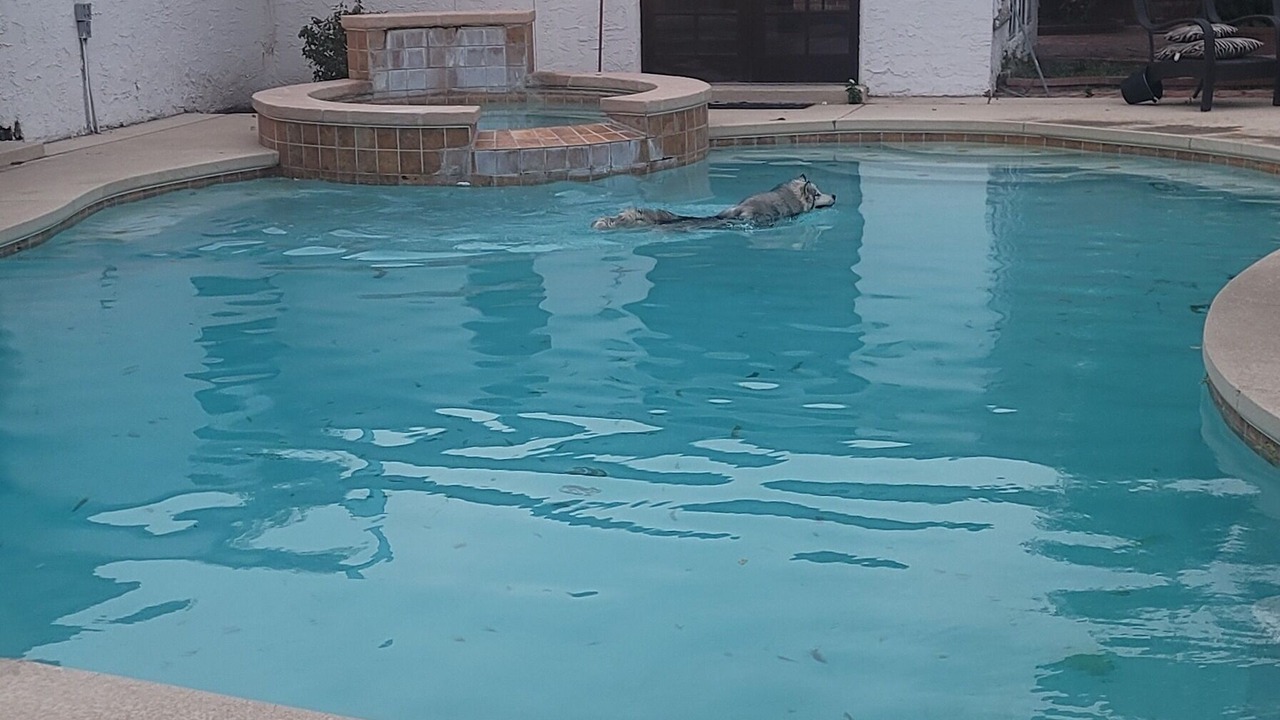 Photo of Outdoor in El Paso
