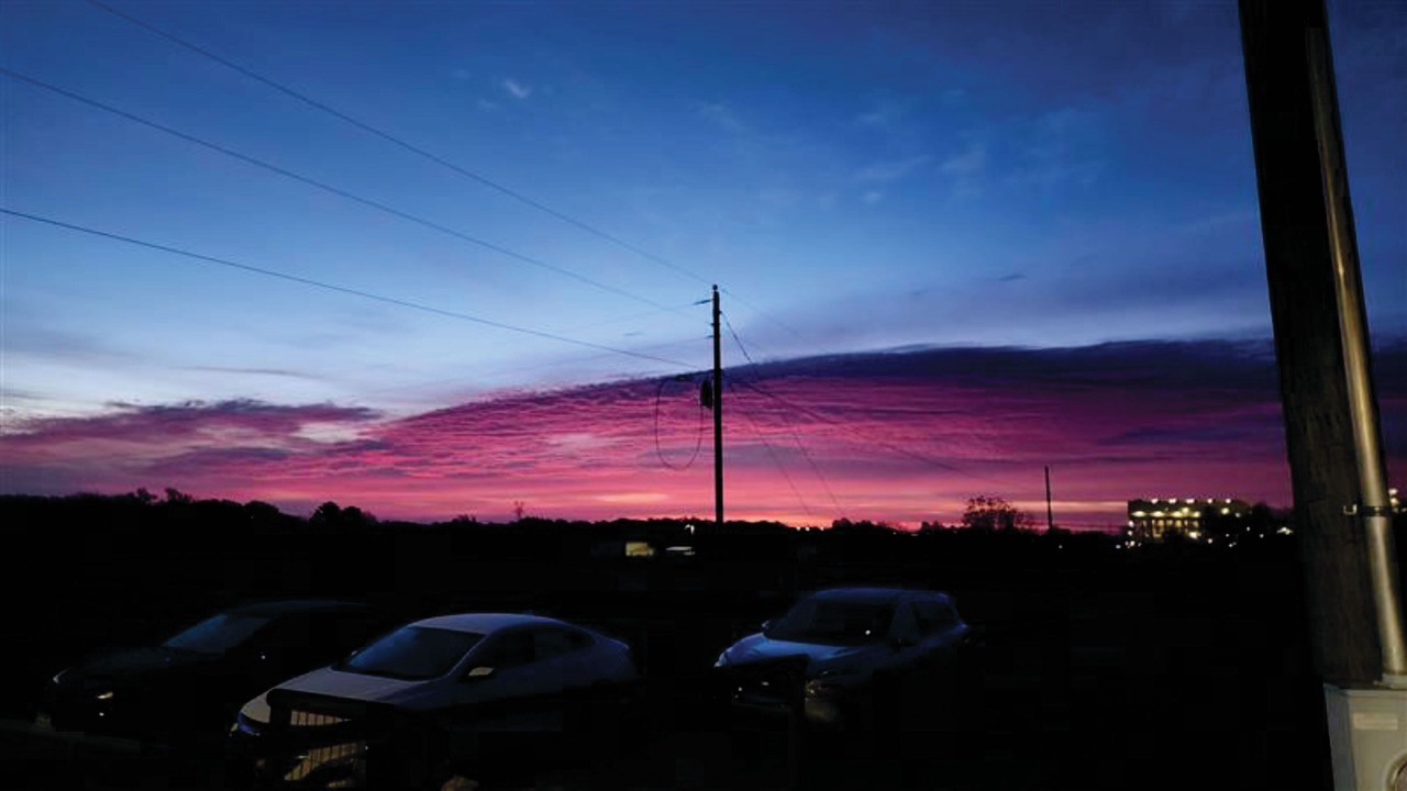 Photo of Others in Nemo