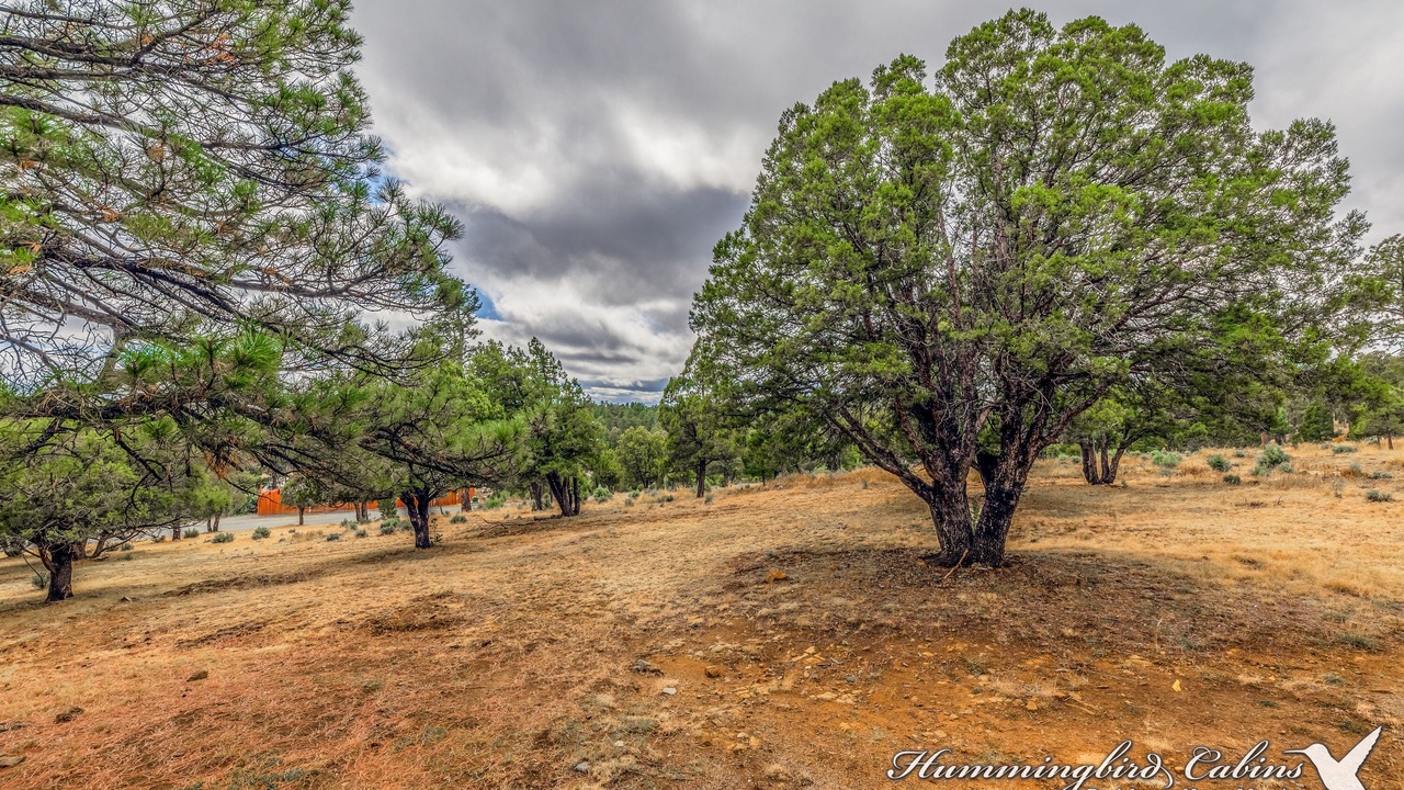 Photo of Others in Alto