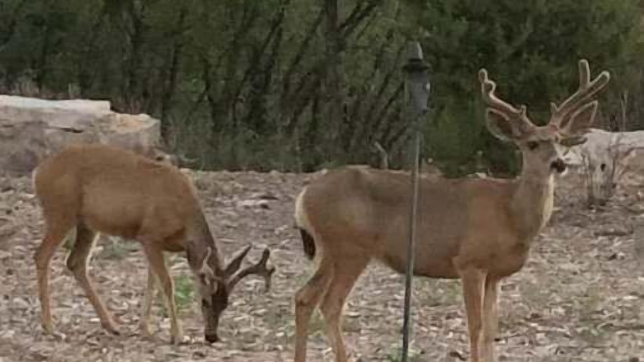Photo of Outdoor in Tijeras