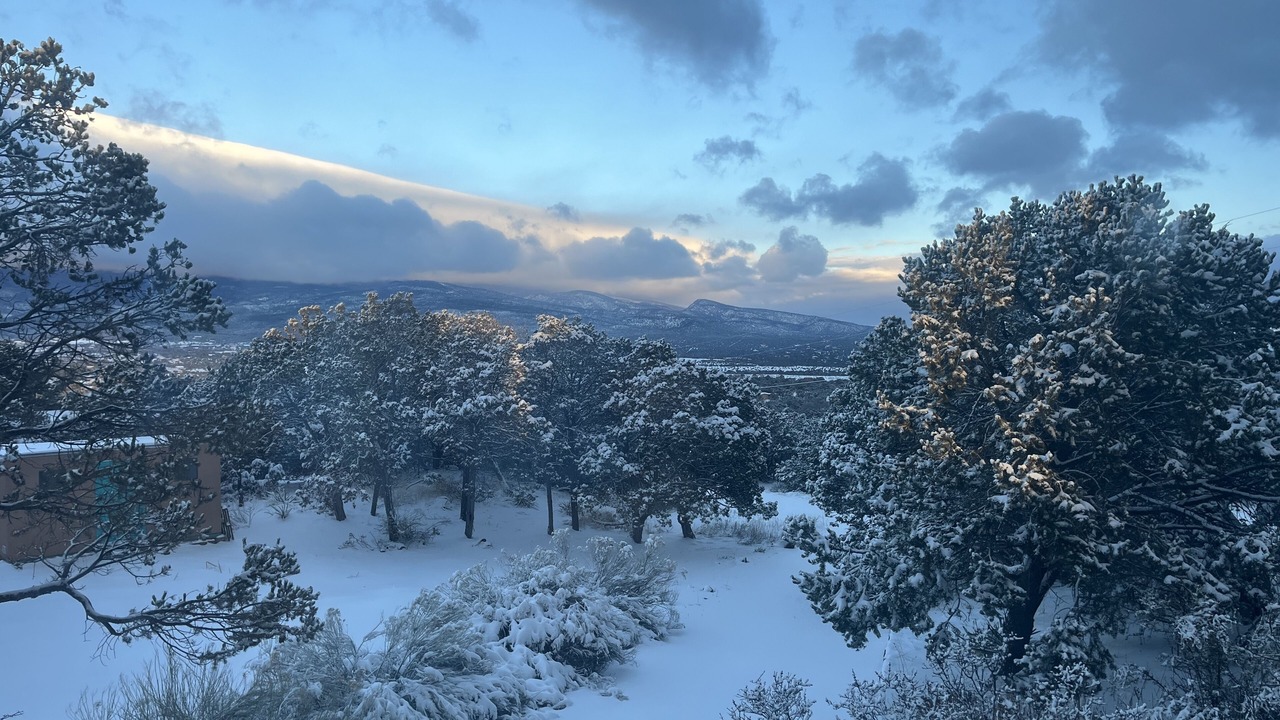 Photo of Others in Sandia Knolls