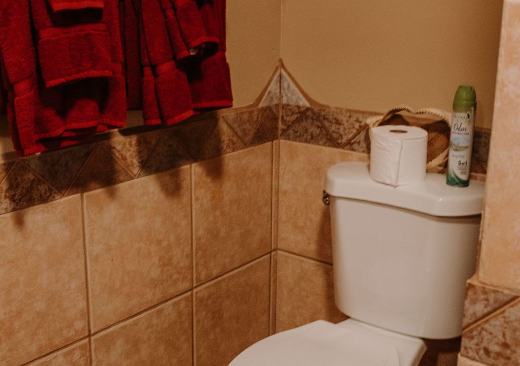 Photo of Bathroom in McIntosh