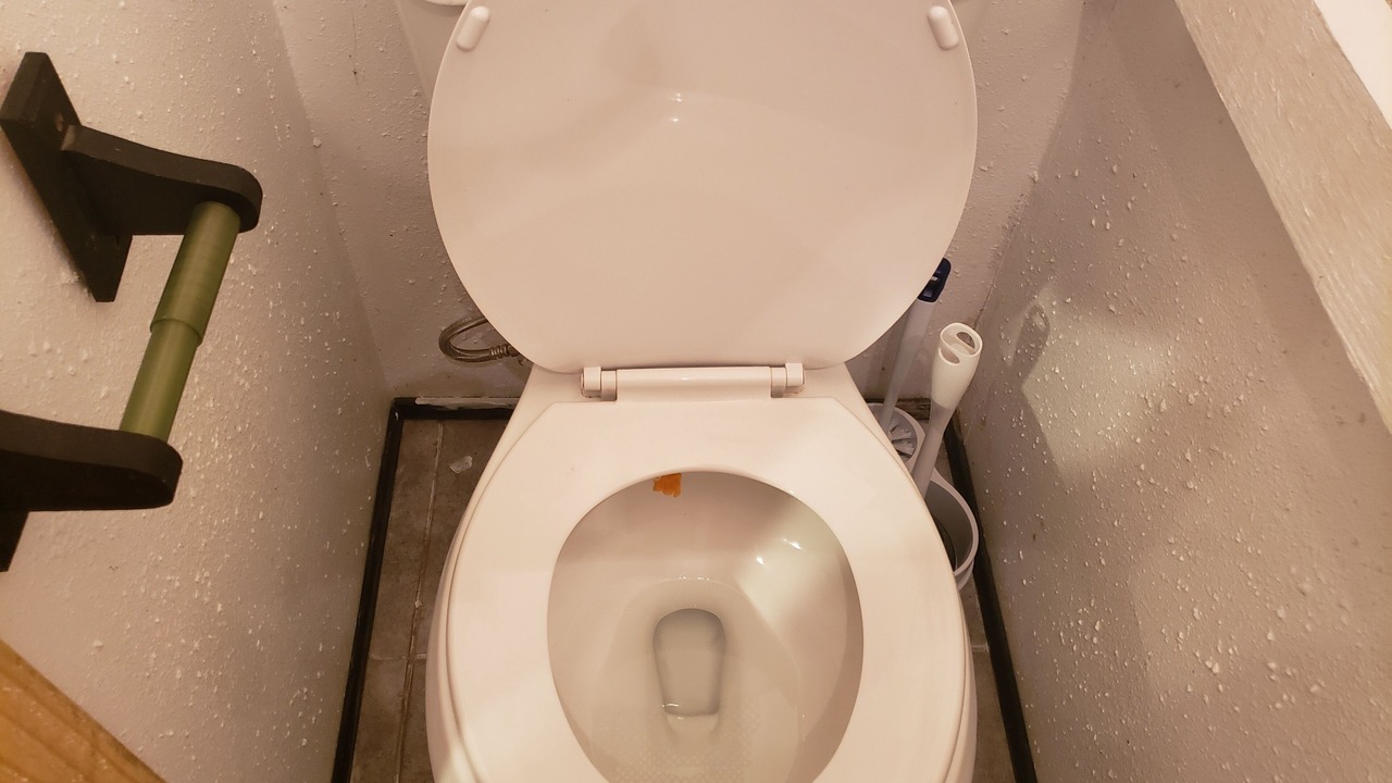 Photo of Bathroom in Palestine