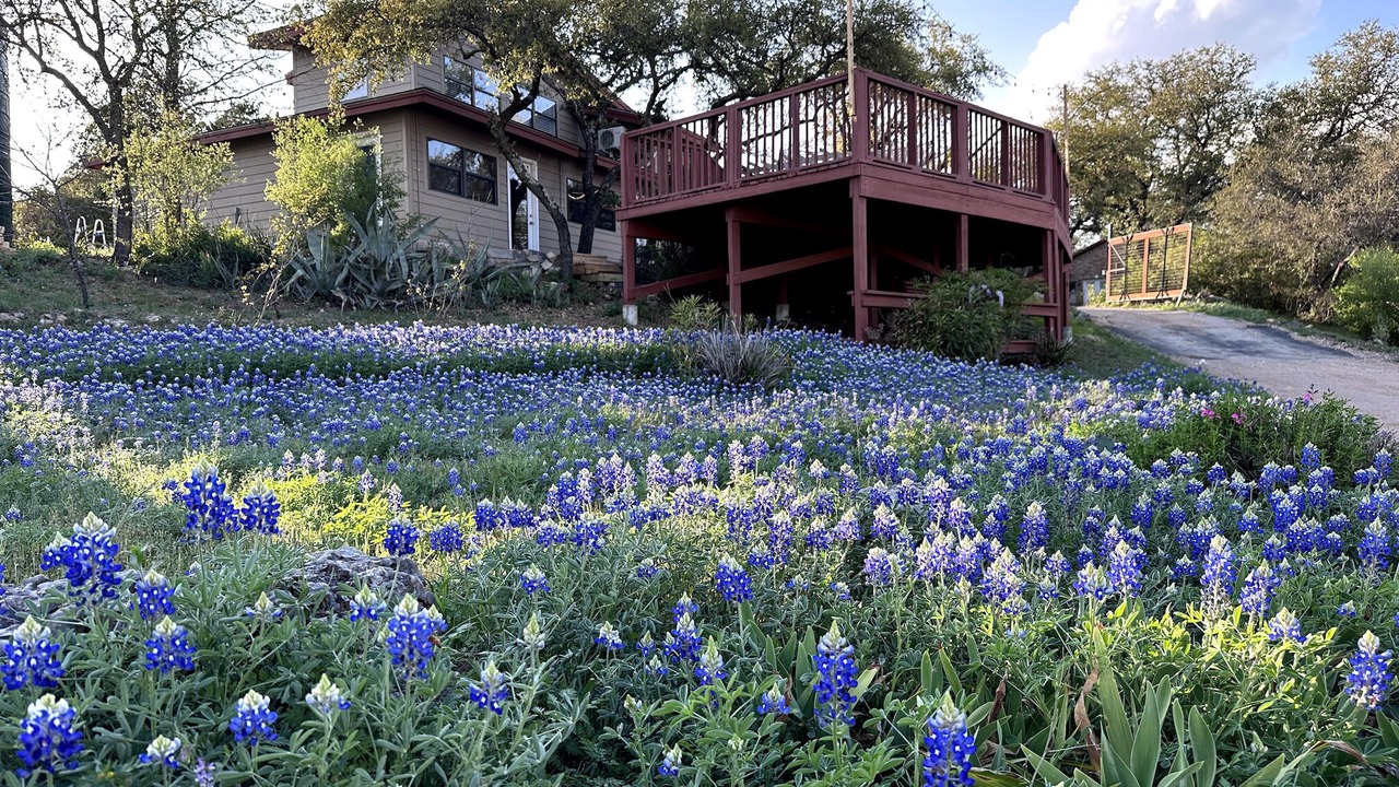 Photo of Others in Spicewood