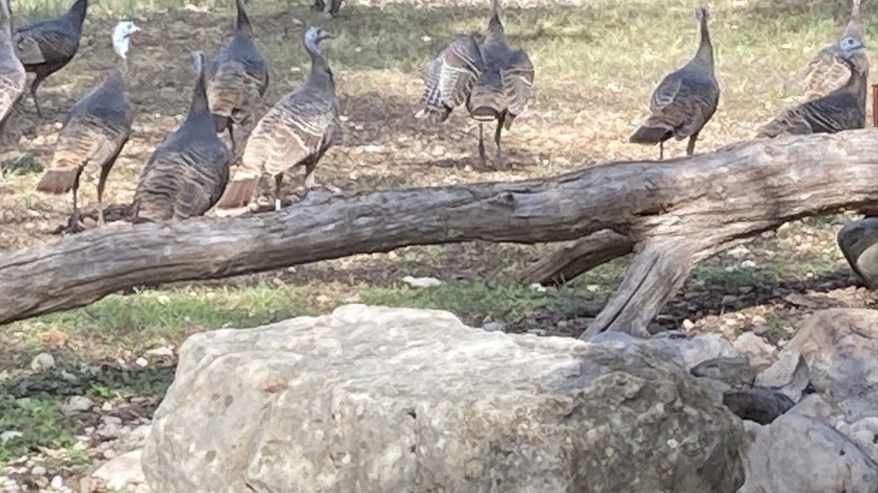 Photo of Others in Rio Frio