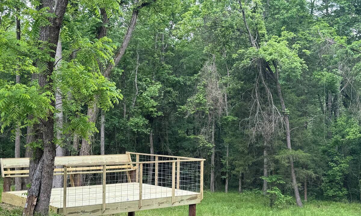 Photo of Outdoor in Anderson County