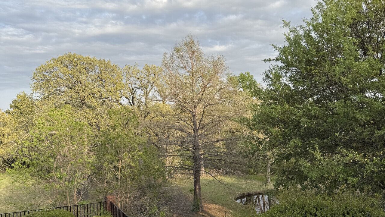 Photo of Outdoor in Argyle