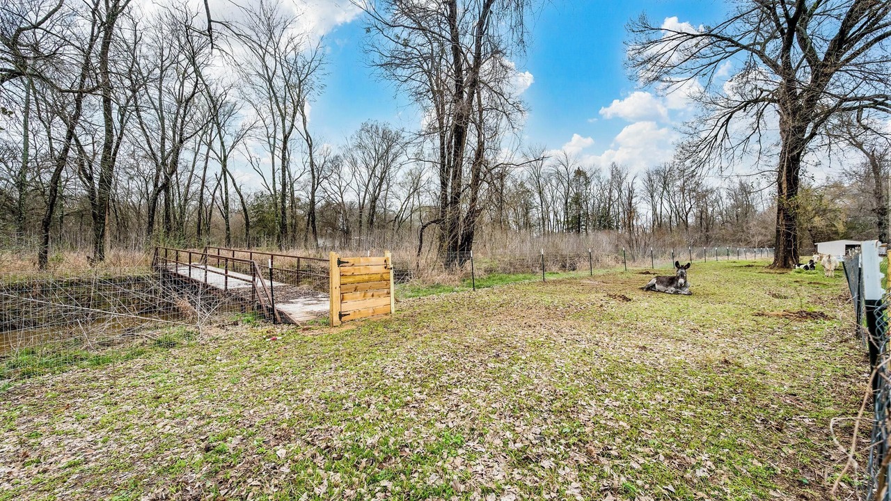 Photo of Outdoor in Elmo